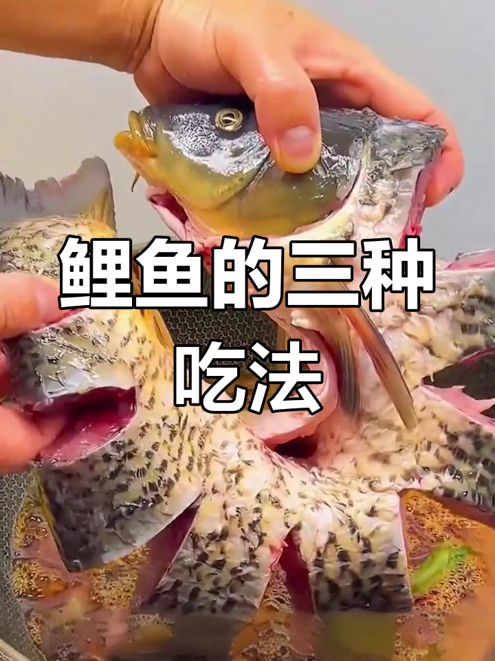 三种鲤鱼做法,轻松学会