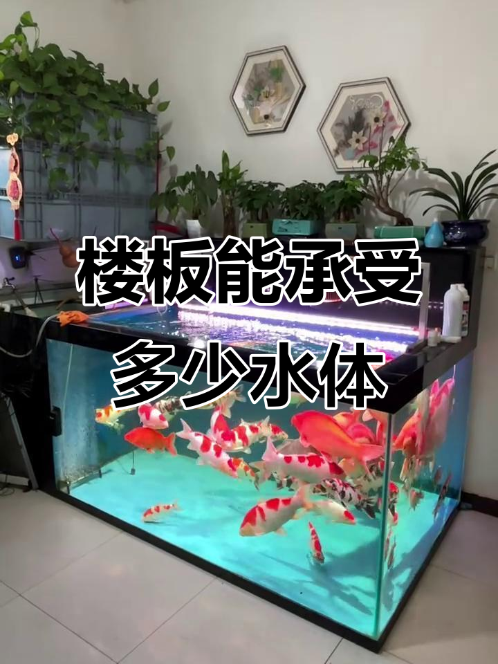 楼房承重问题揭秘:鱼缸如何摆放才安全?