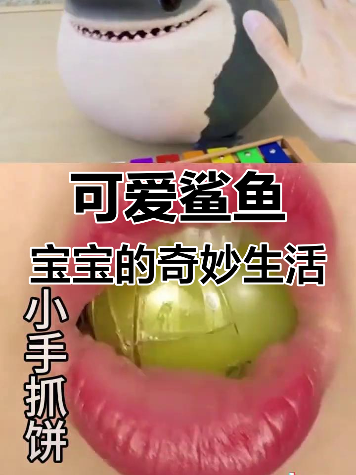 鲨鱼宝宝钢琴弹奏,圣诞老人装扮萌翻天