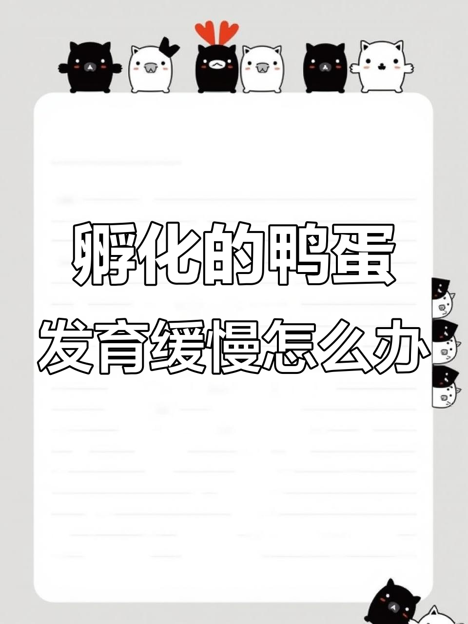 鸭蛋孵化过慢?可能是这个原因,耐心等就好