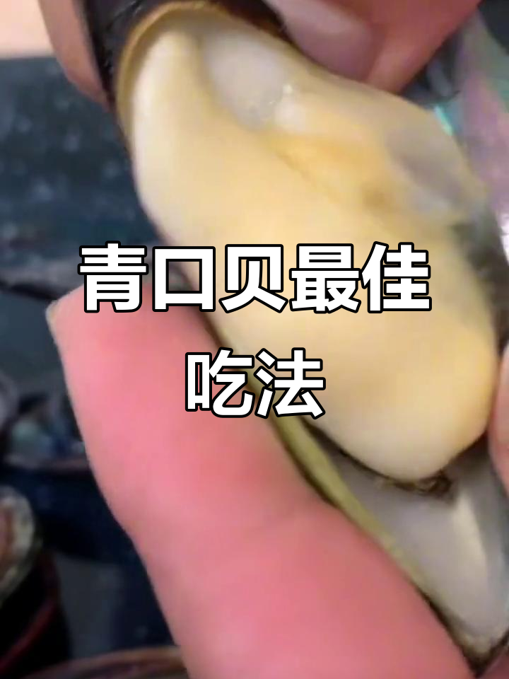 青口贝最肥美季节,教你轻松处理与食用技巧