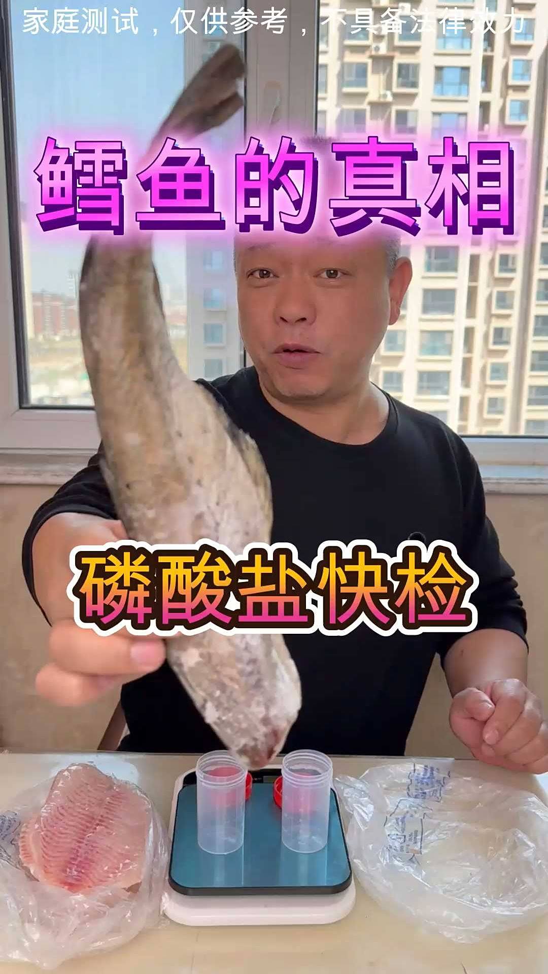 鳕鱼的内幕是什么