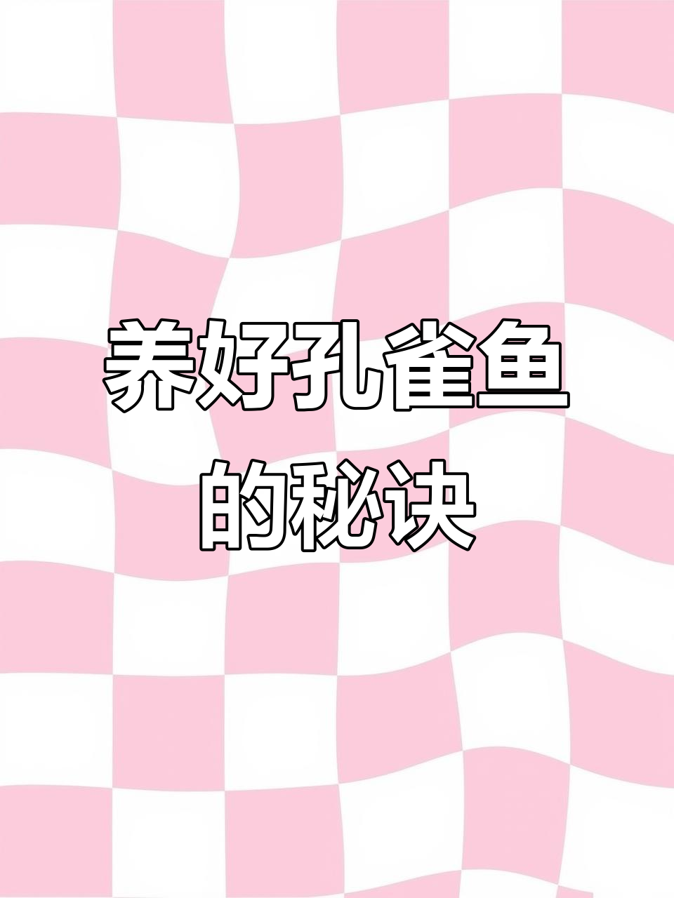 轻松养孔雀鱼，简单又美观