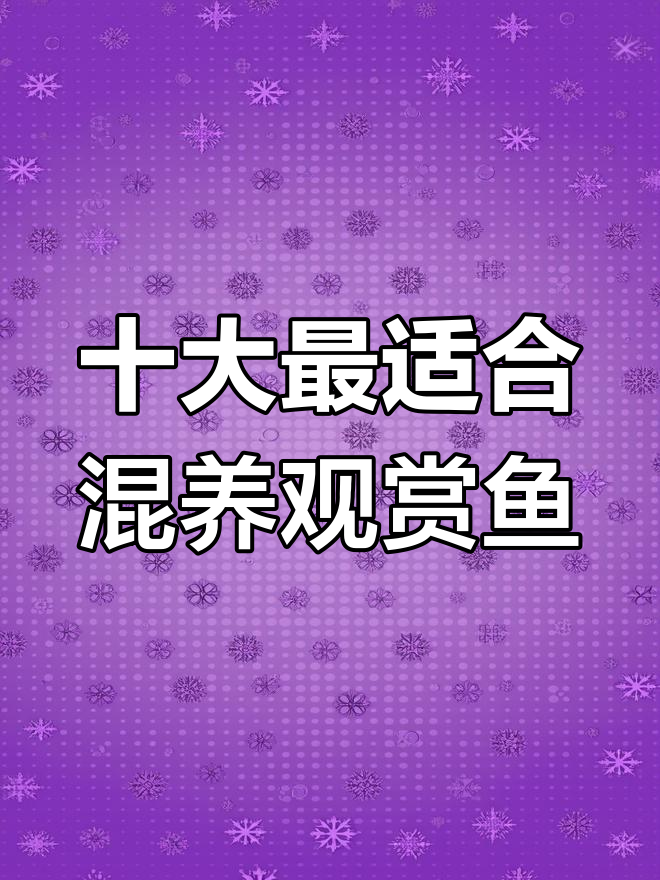 适合混养的观赏鱼推荐,斑马、清江等上榜