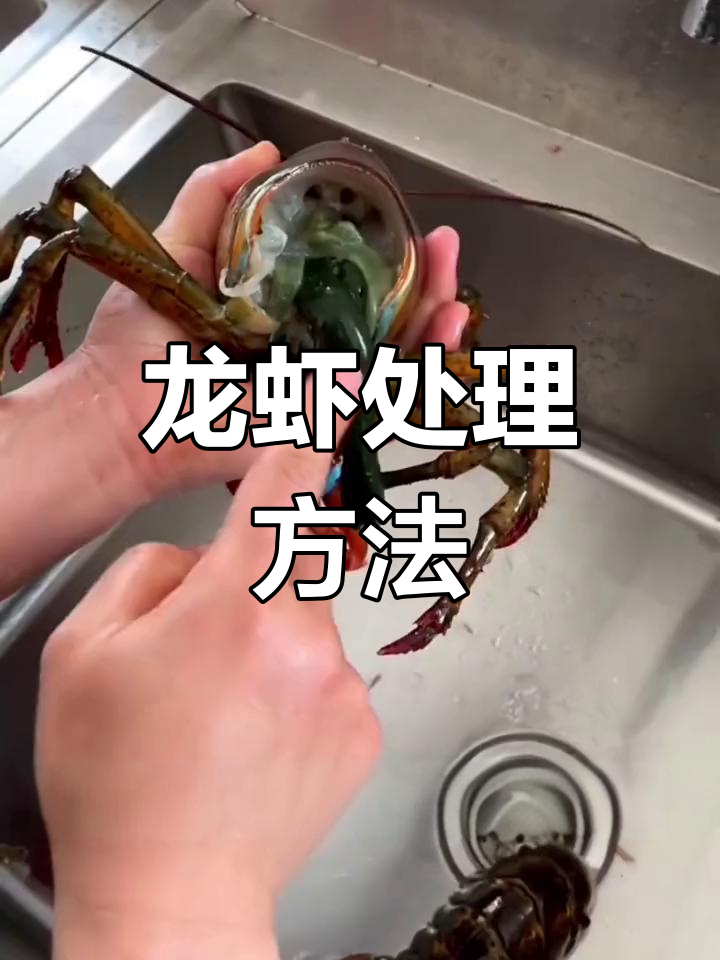 如何处理波士顿龙虾?