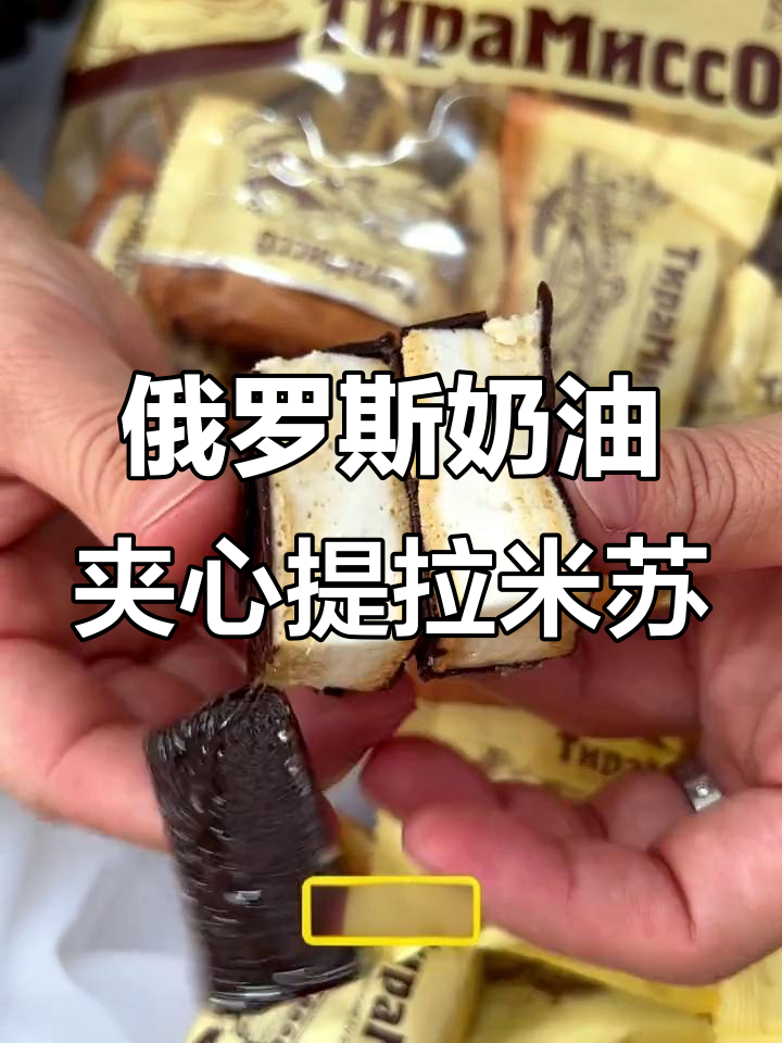 俄罗斯提拉米苏小蛋糕,松软细腻不甜腻,巧克力外皮超诱人