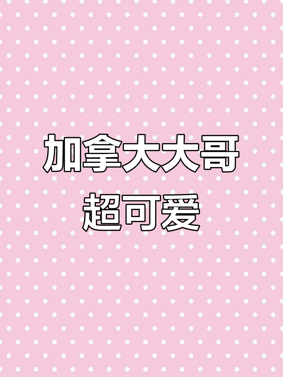 加拿大鹅主动接近，失望游走萌态十足