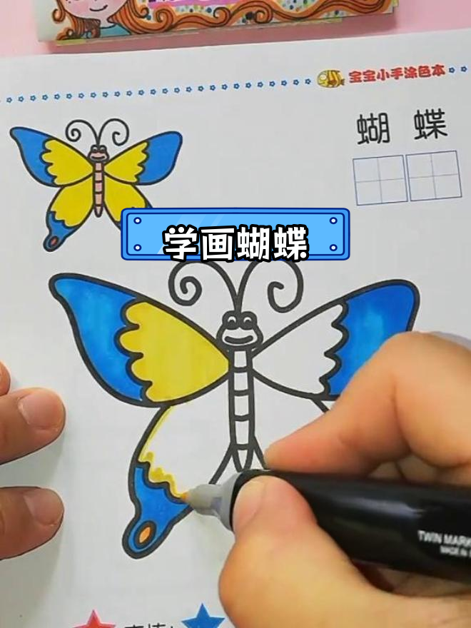 简单蝴蝶涂色教程
