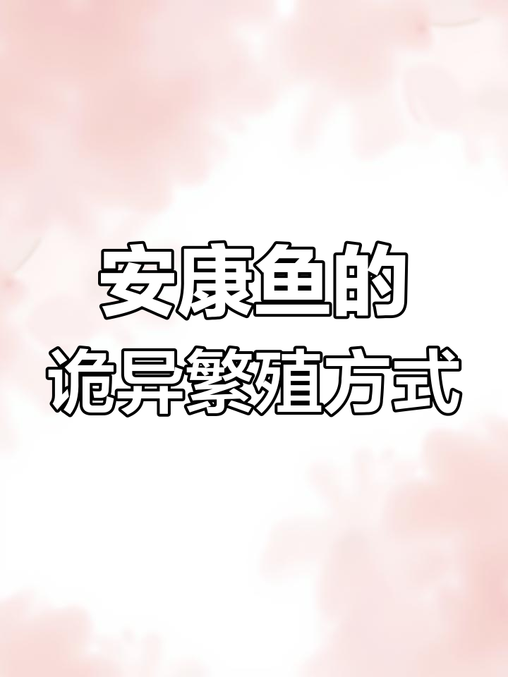 深海安康鱼:雄性变身生殖器,雌雄差异惊人