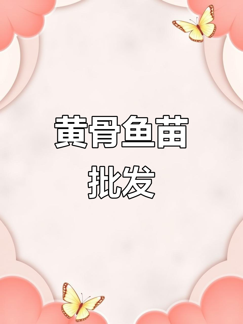 优质黄骨鱼苗,批发供应,覆盖多地放生需求