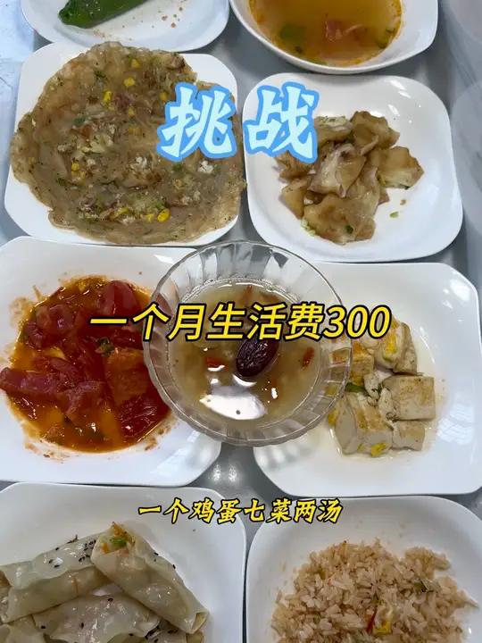 个月生活费300元,今天买了一个鸡蛋做了七菜两汤,鸡蛋锅贴,鸡蛋醪糟红枣汤,蛋爆豆腐,鸡蛋