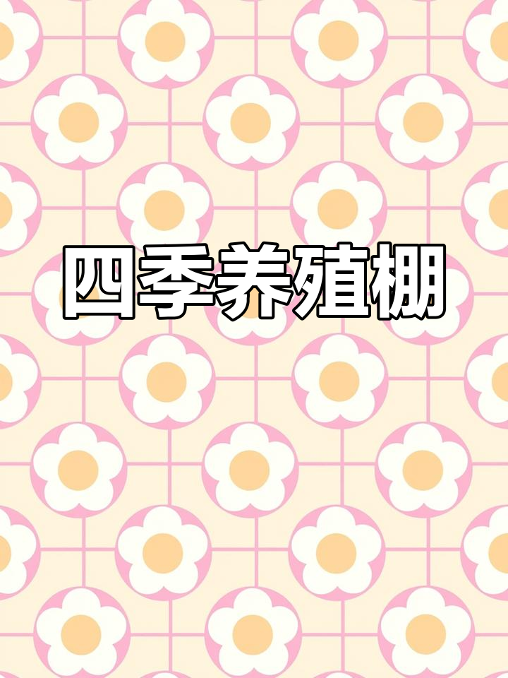 四季可用的新型养虾大棚,增加收入又稳固