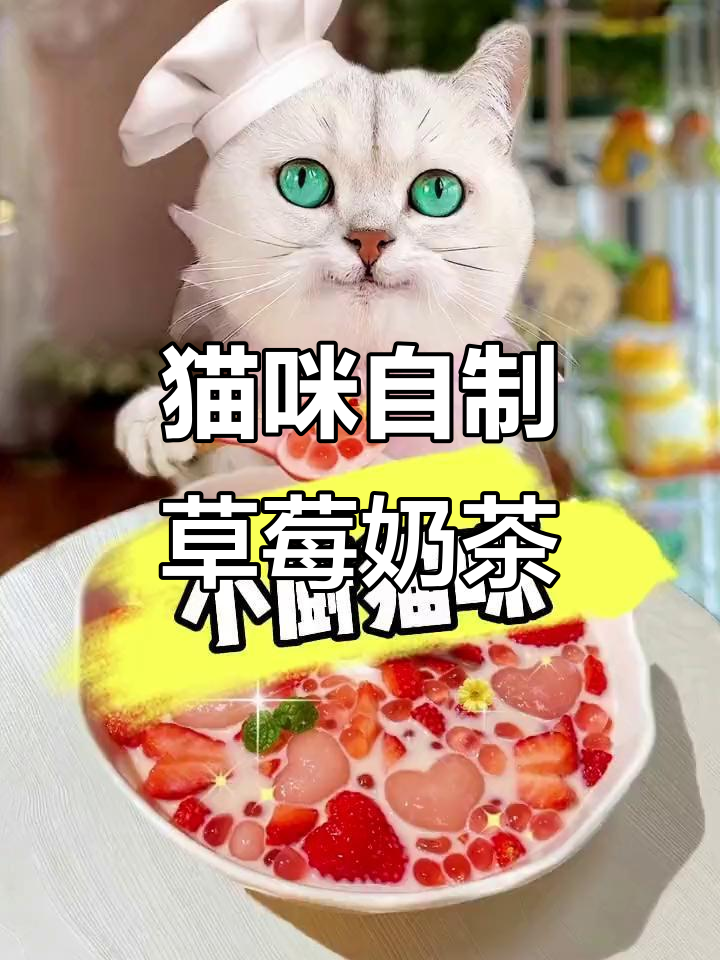 小猫亲手做草莓波波奶茶,萌态十足超可爱