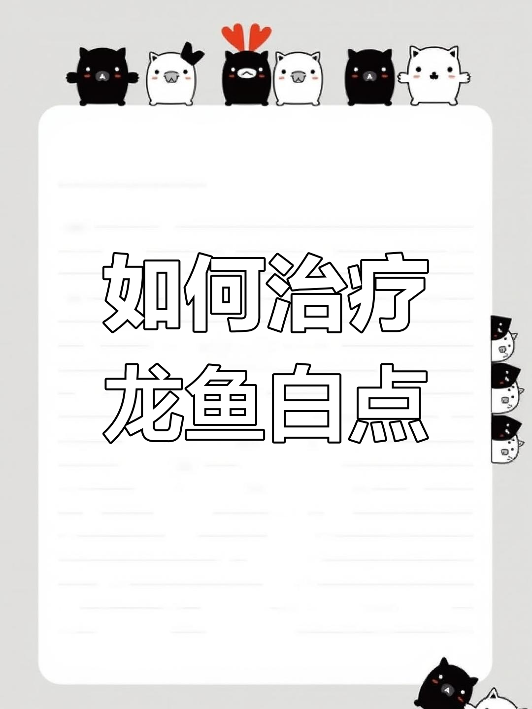 龙鱼白点病治疗方法与预防措施