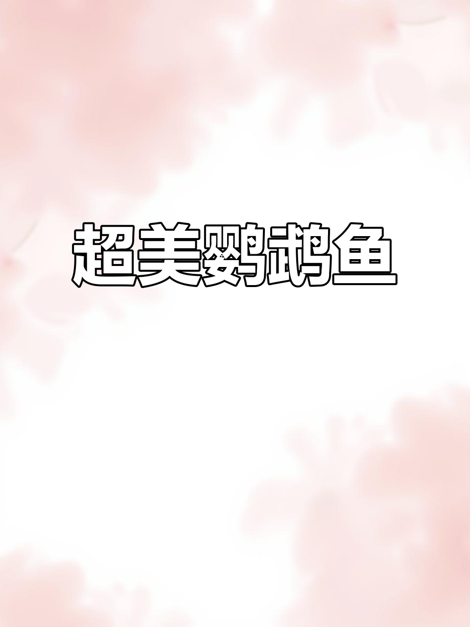 血红色鹦鹉鱼,养在家里喜庆又好养护