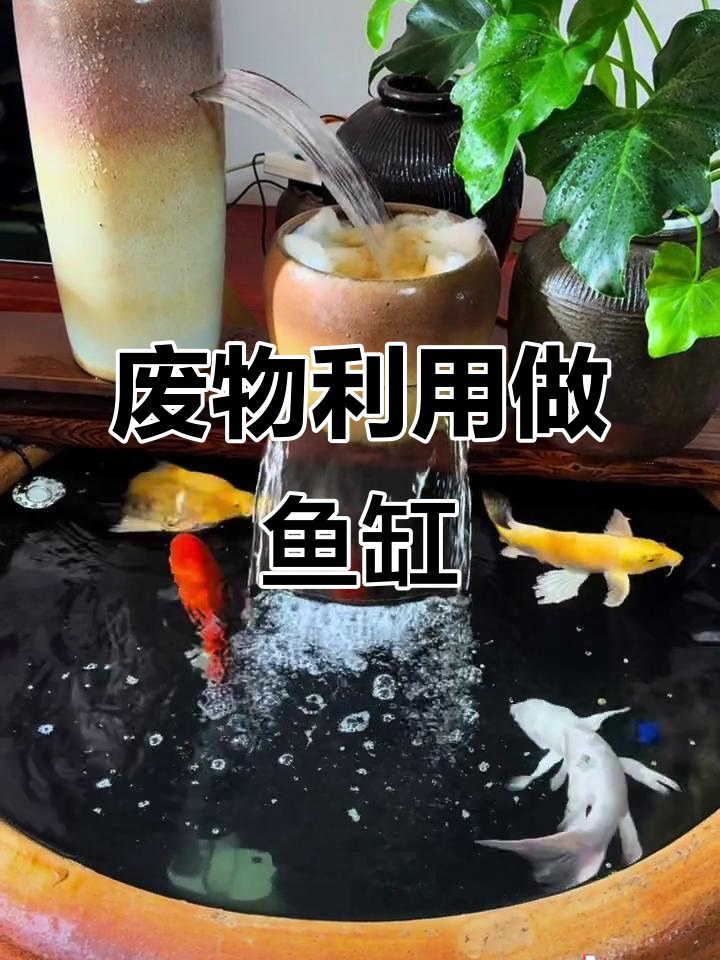 用闲置水缸改造鱼缸，简单又实用！
