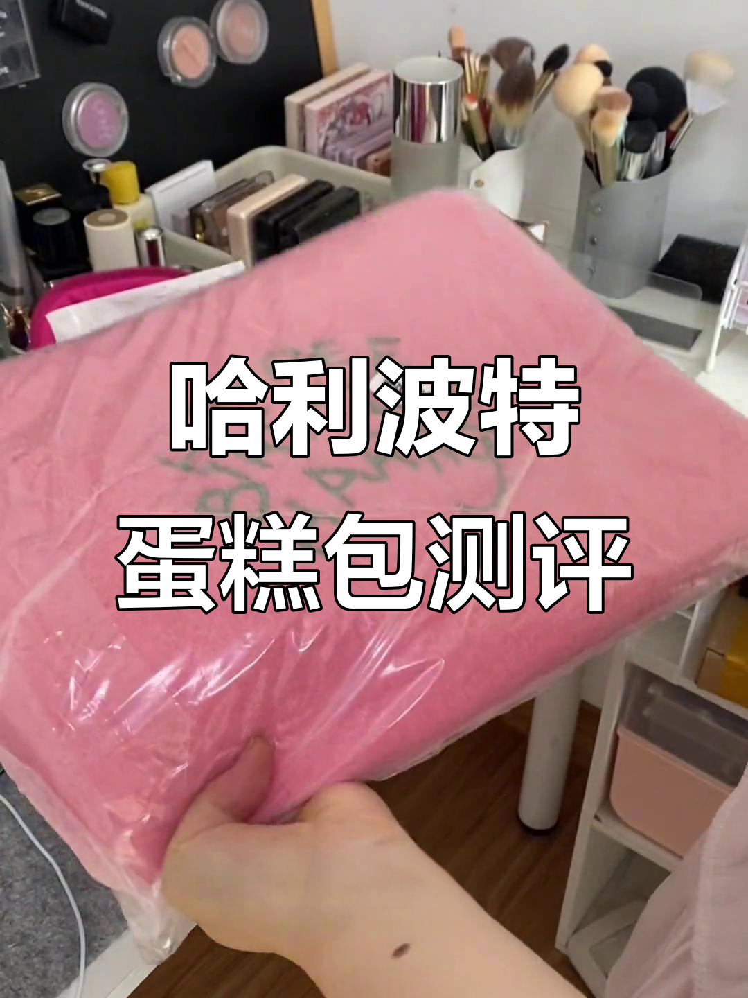 买了哈利波特蛋糕包包,结果有点大但质感不错