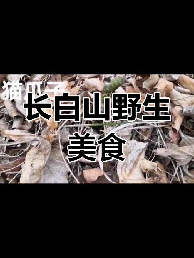 猫爪子,长白山珍品,健胃解毒,美味野菜