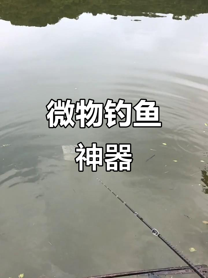钓竿C652L搭配P3轮,0.8PE线微物钓鱼必备组合