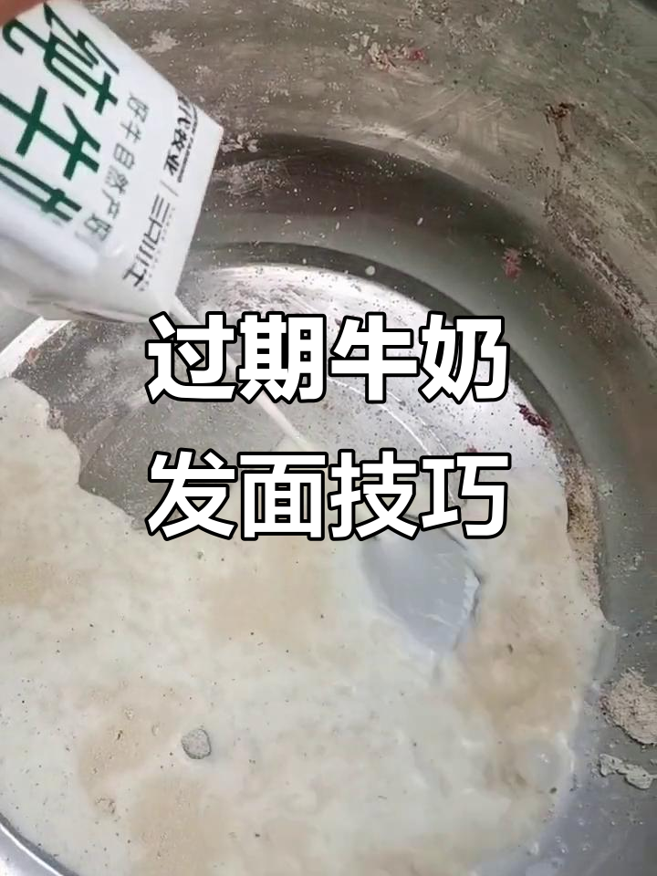 过期牛奶变废为宝,做面包蒸馒头超好吃