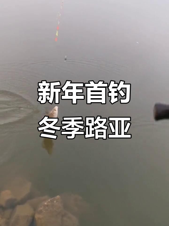 冬季路亚滑漂钓鲫鱼,新年第一钓精彩瞬间