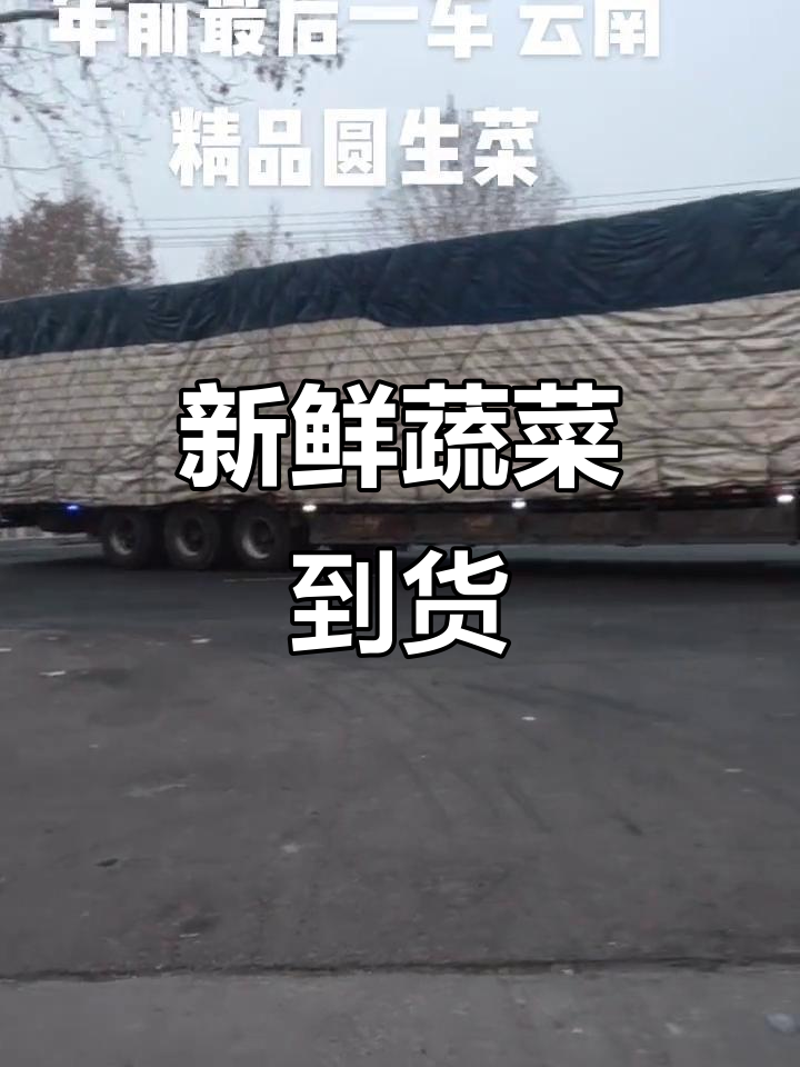云南蔬菜到货,多种选择任挑!