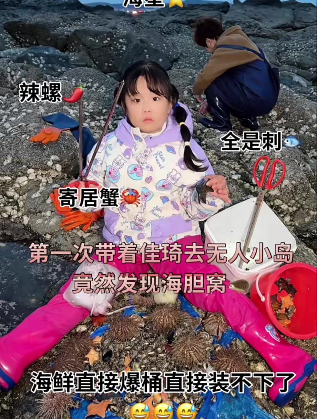 第一次带着佳琦去无人小岛赶海竟然发现海胆窝