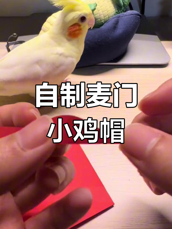 手工DIY麦门小鸡帽子教程,轻松学会制作
