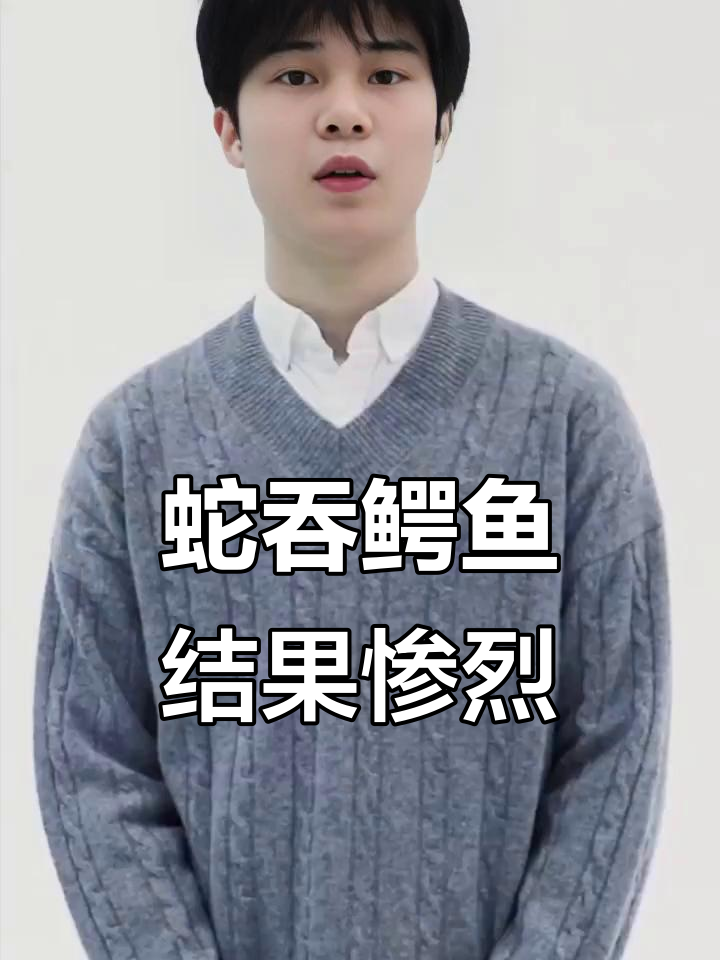 蛇与鳄鱼的生死时速:一场两败俱伤的较量