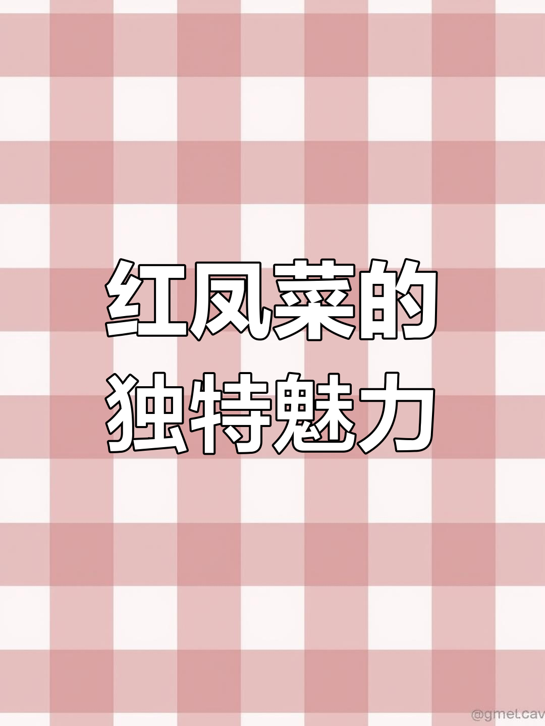 红凤菜的药用价值与美味口感