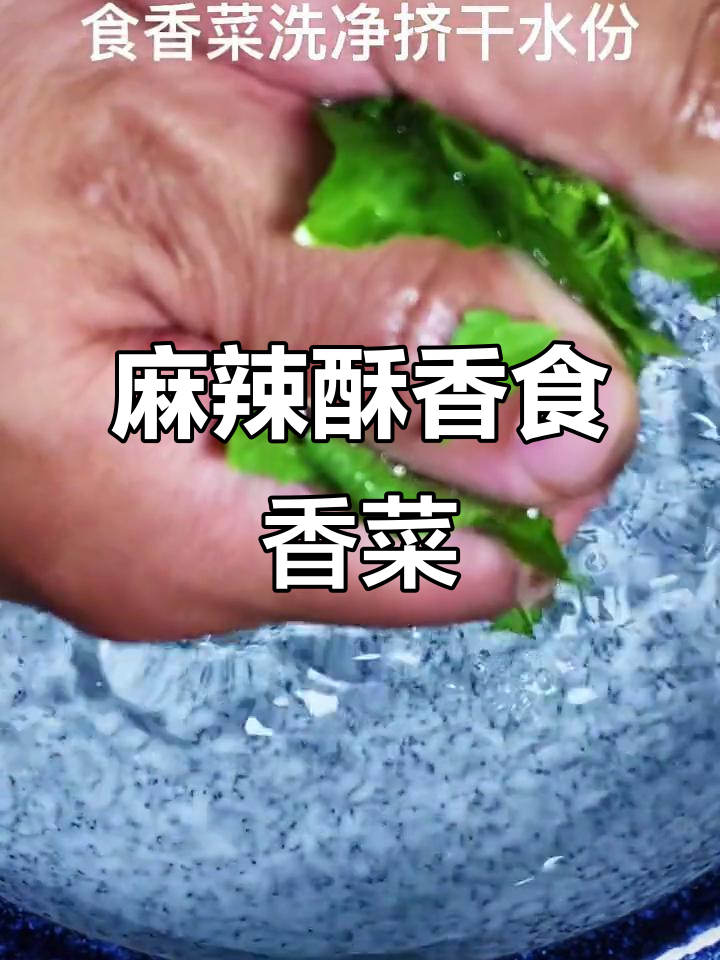 麻辣酥香食香菜,立秋必备脆口美味