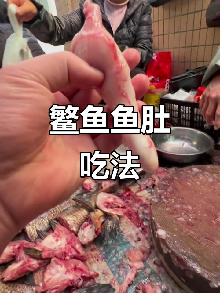 50元一斤的鳘鱼鱼肚值不值？分享最佳吃法