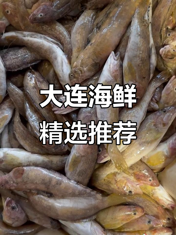 六月二十八日大连海鲜推荐,新鲜大虾与奇特鱼类一网打尽