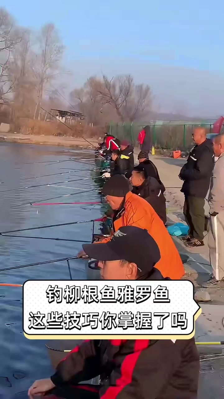 钓柳根鱼雅罗鱼,这些技巧你掌握了吗