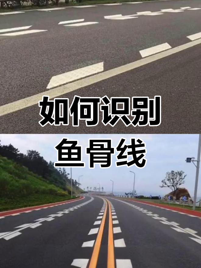 鱼骨线如何辨别?避免扣分罚款