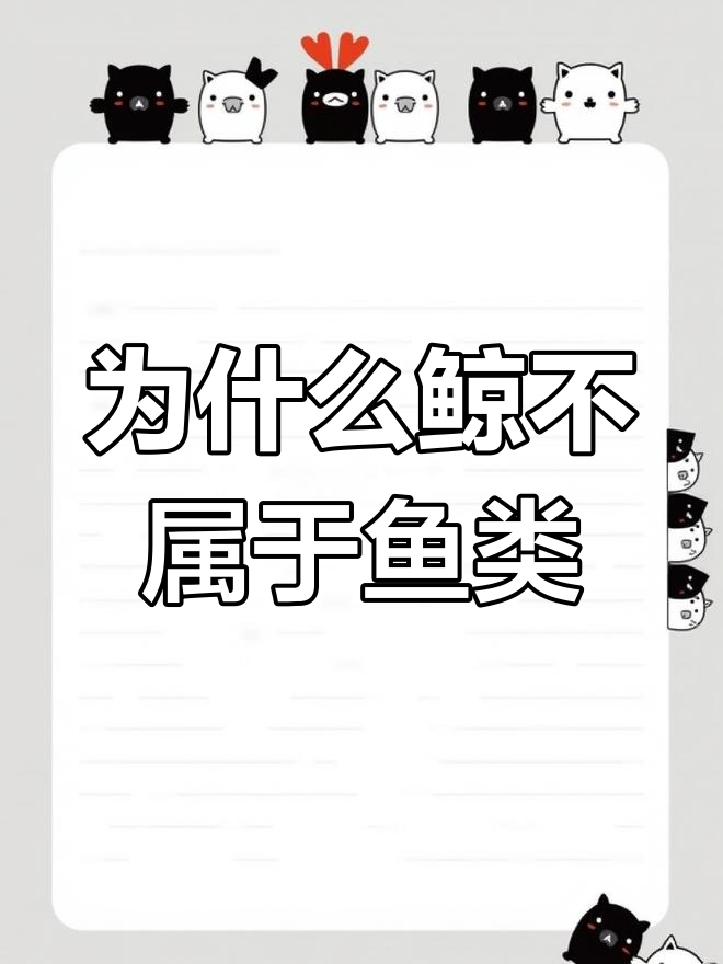鲸鱼为何不是鱼类?揭秘哺乳动物与卵生动物的差异