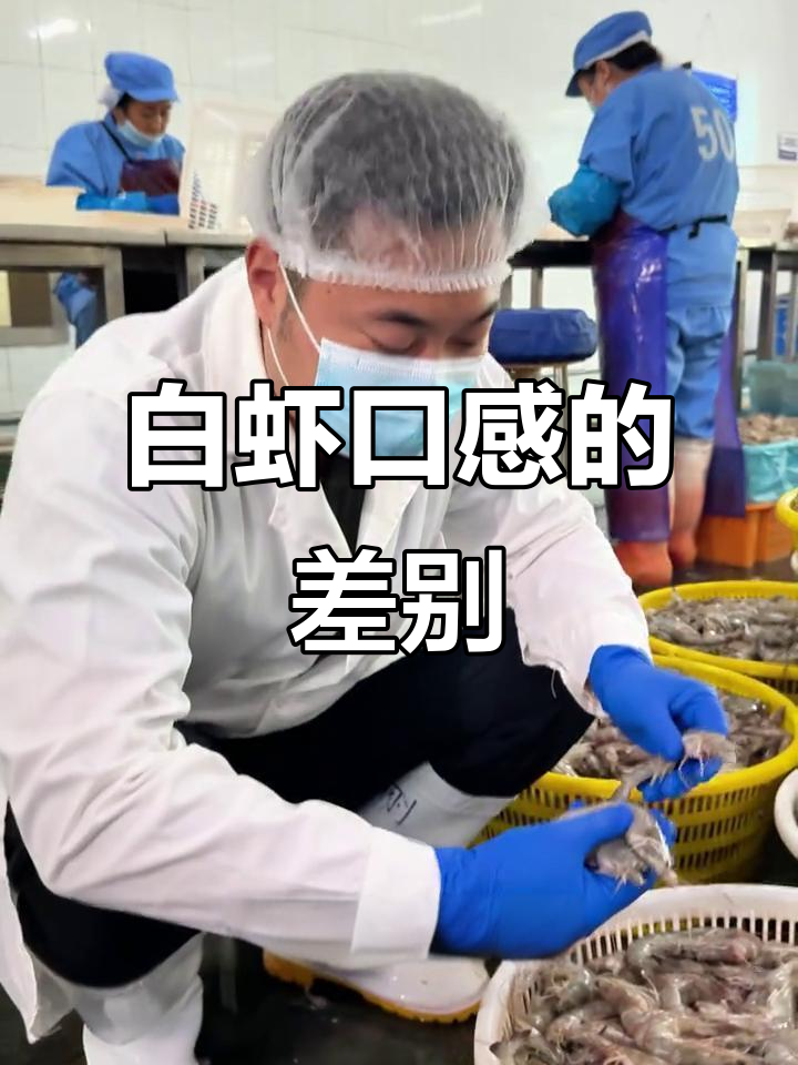 国产白虾与进口南美白对虾的口感差异分析