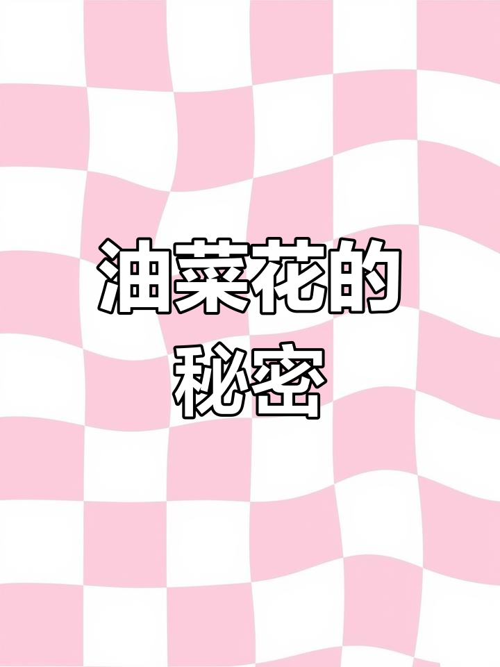 油菜花不止黄色,竟然还有其他颜色!