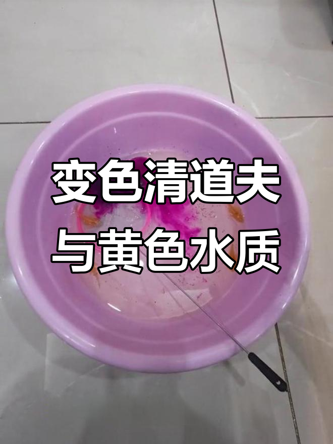 女王大帆竟是变色清道夫?高锰酸钾让水变黄了!