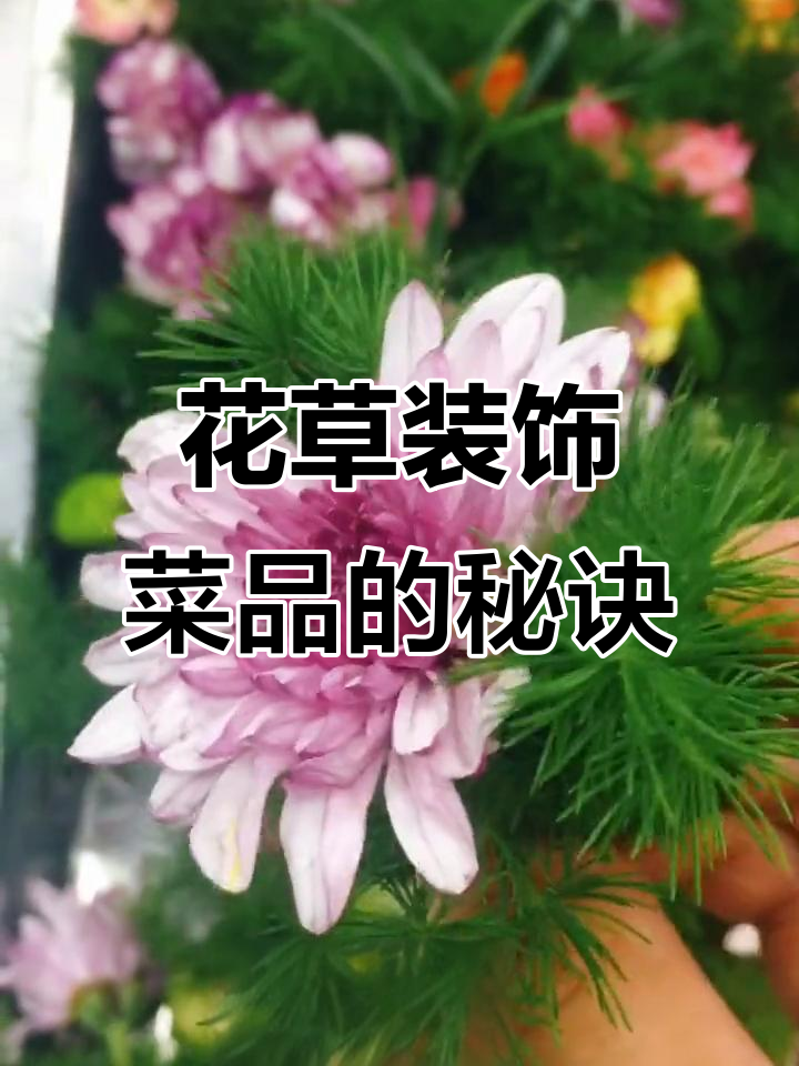 菜品围边花草技巧大揭秘,如何让你的菜肴更出彩