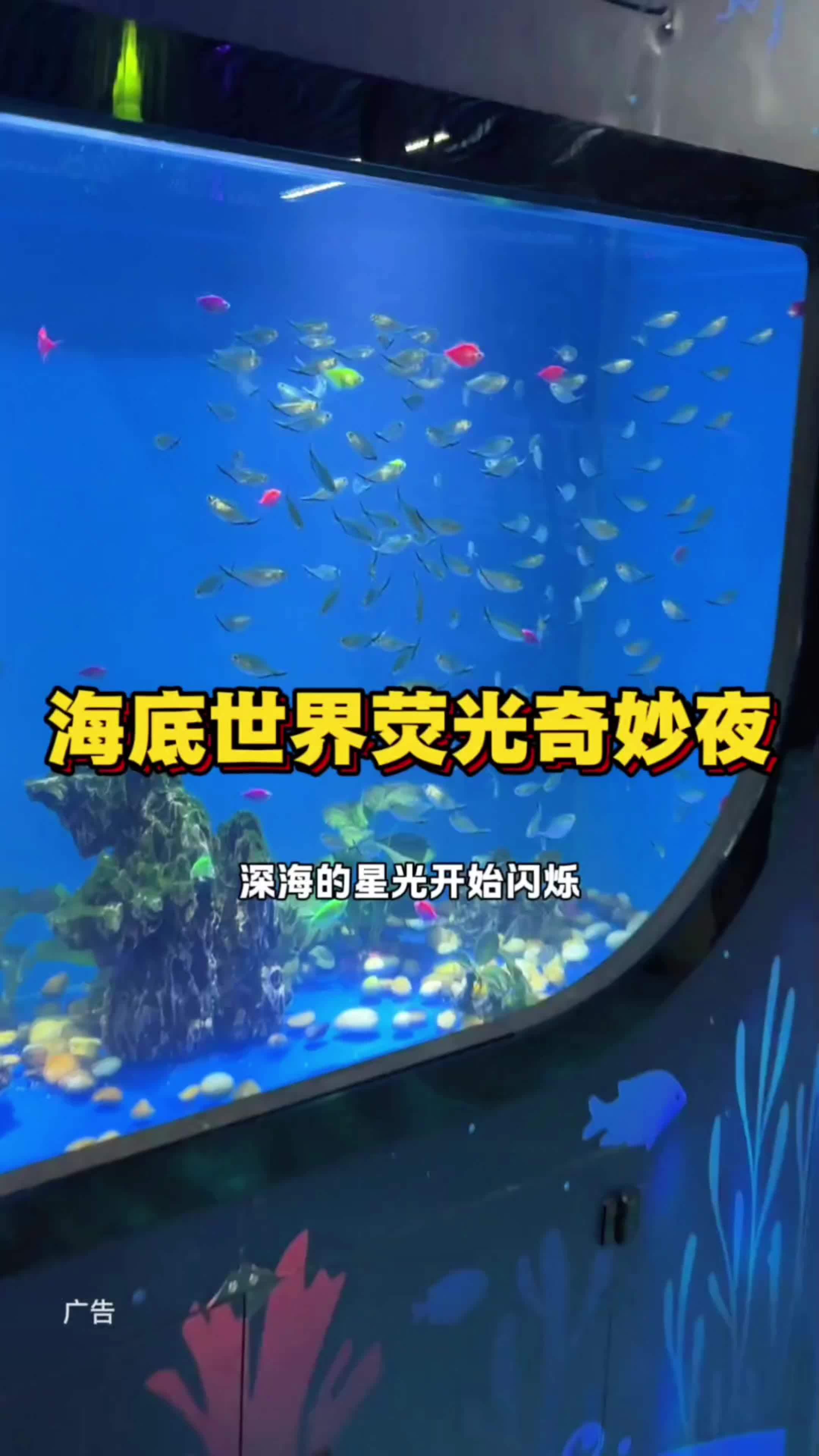 青岛海底世界荧光奇妙夜浪漫来袭~ 海底世界的浪漫氛围真的好绝 海底的世界会发光 被海底世界