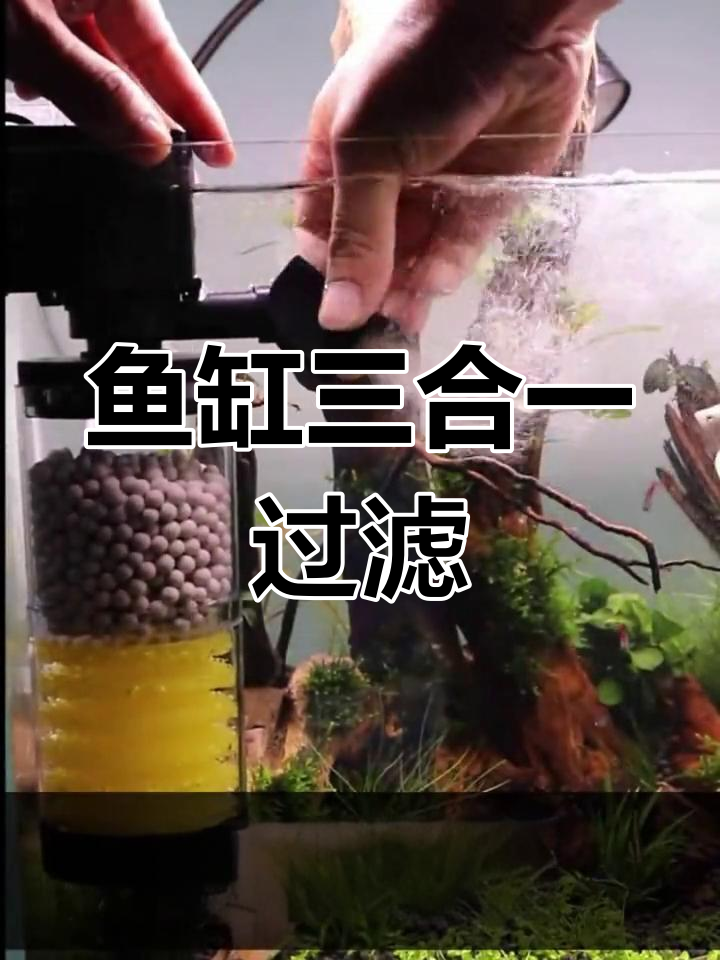 三合一过滤器,净水循环、吸便增氧,小型鱼缸必备神器