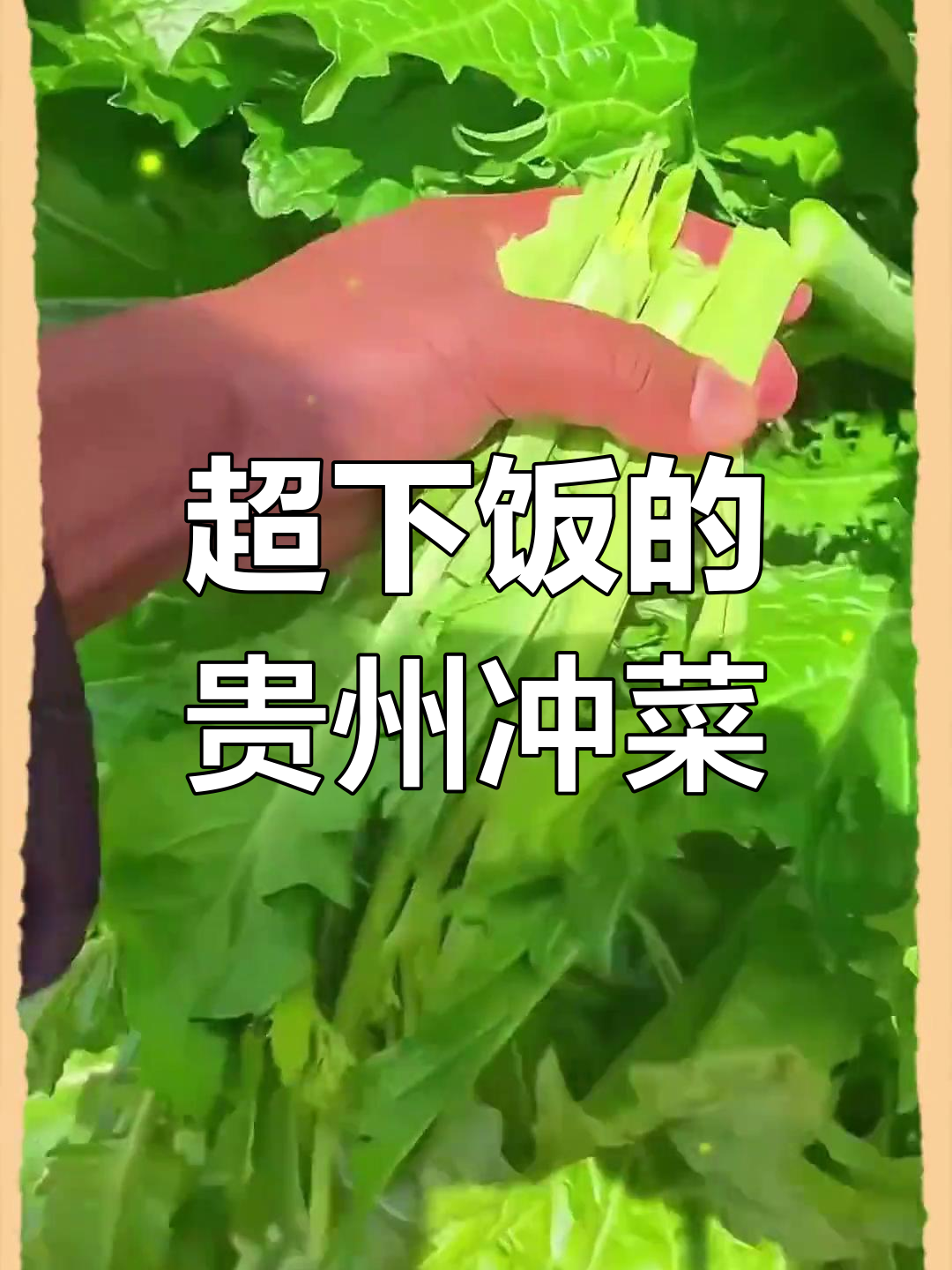 贵州冲菜炒肉末,辣到停不下来!这碗饭你能吃几口?