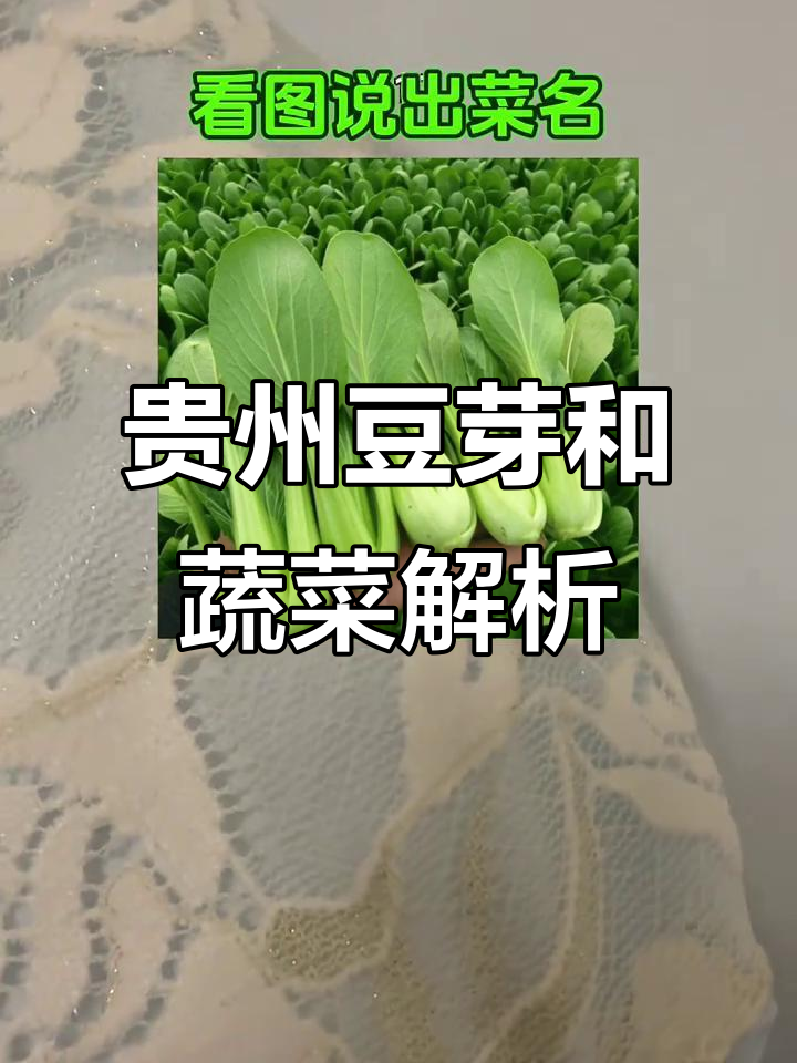 贵州豆芽与香菜大揭秘,你了解吗?