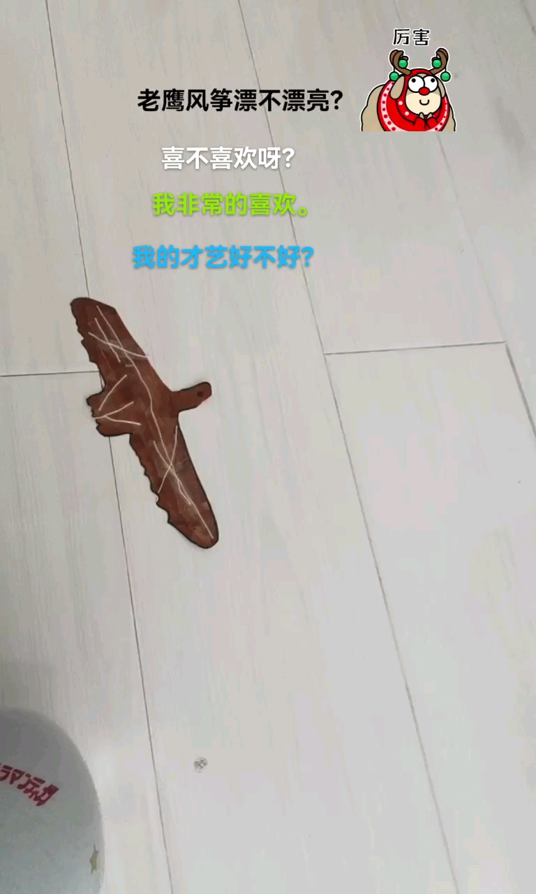 我做的老鹰风筝要试飞,能不能飞起来?