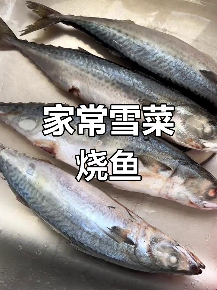 雪菜烧青占鱼,家常味十足!简单又美味