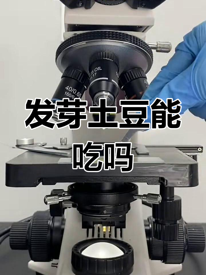 土豆发芽了还能吃吗?显微镜下揭秘真相