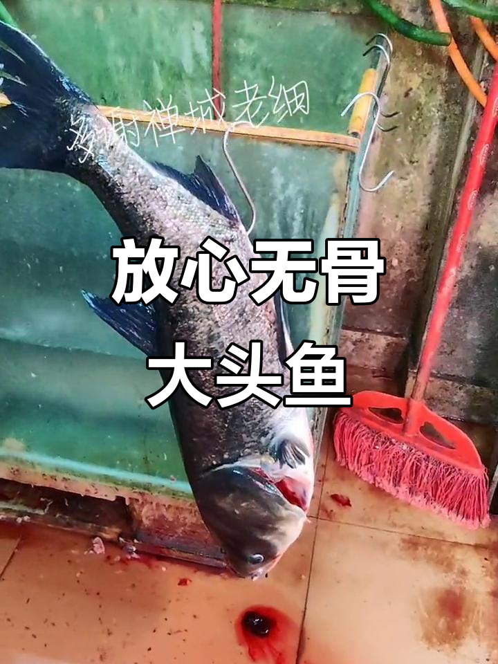 无骨大头鱼家宴,新鲜食材与精湛刀工的完美结合