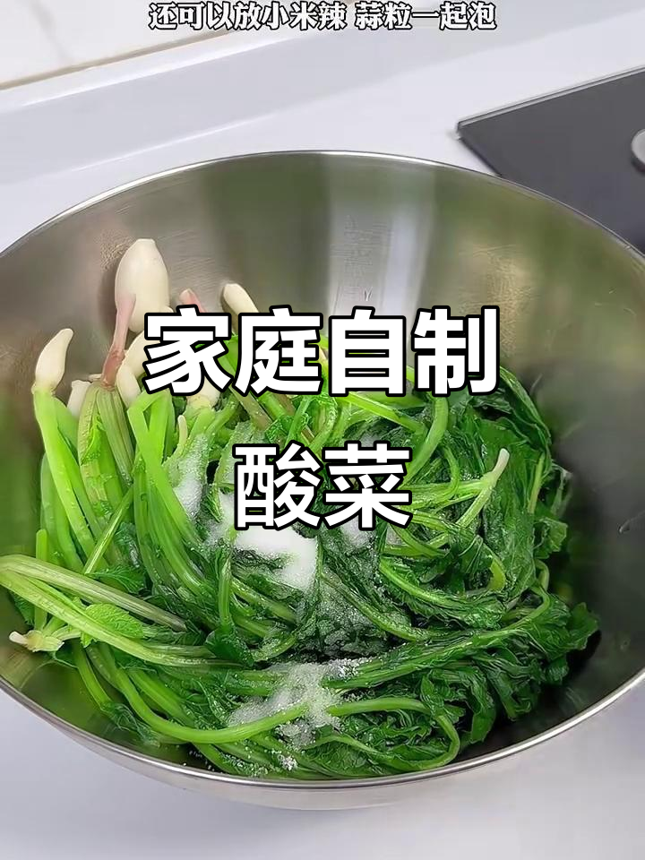 自制酸菜炒肉末，家常下饭神器轻松搞定