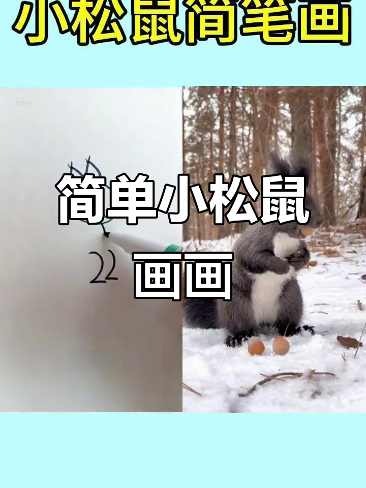 小松鼠简笔画教程,轻松学会神奇动物画法